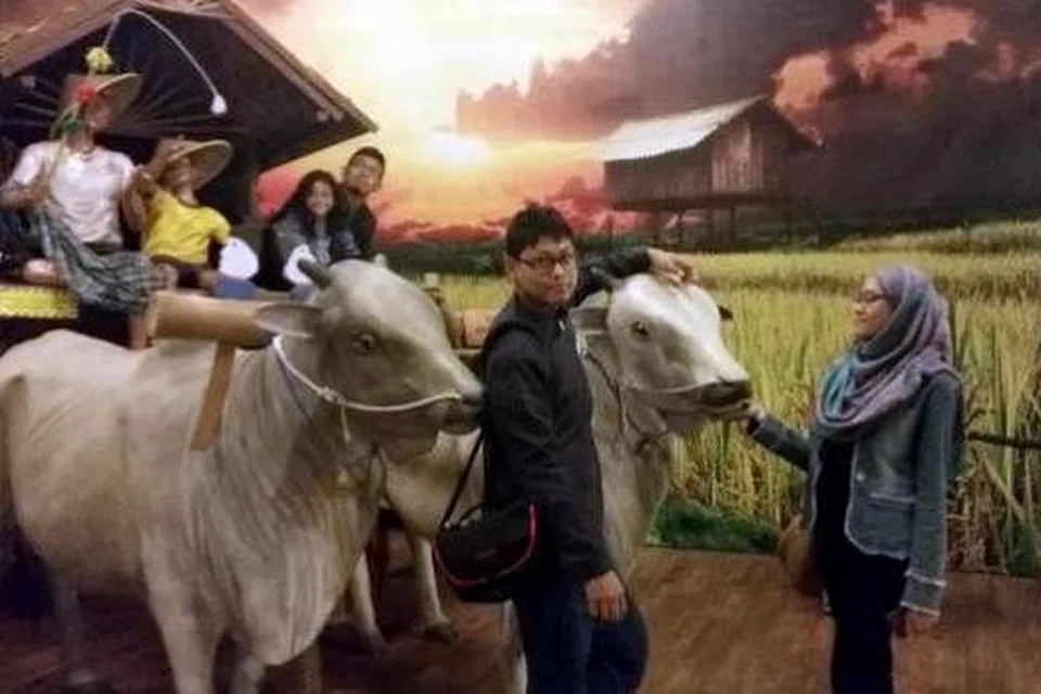 SEPERTI ZAMAN DULU: Pengangkutan tradisional seperti kereta lembu antara daya penarik Muzium Angkut.