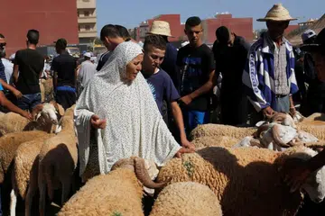Seorang wanita membeli seekor biri-biri di pasar ternakan di bandar Oujda, Maghribi, menjelang Hari Raya Aidil Adha pada 11 September 2016.