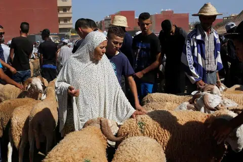 Seorang wanita membeli seekor biri-biri di pasar ternakan di bandar Oujda, Maghribi, menjelang Hari Raya Aidil Adha pada 11 September 2016.