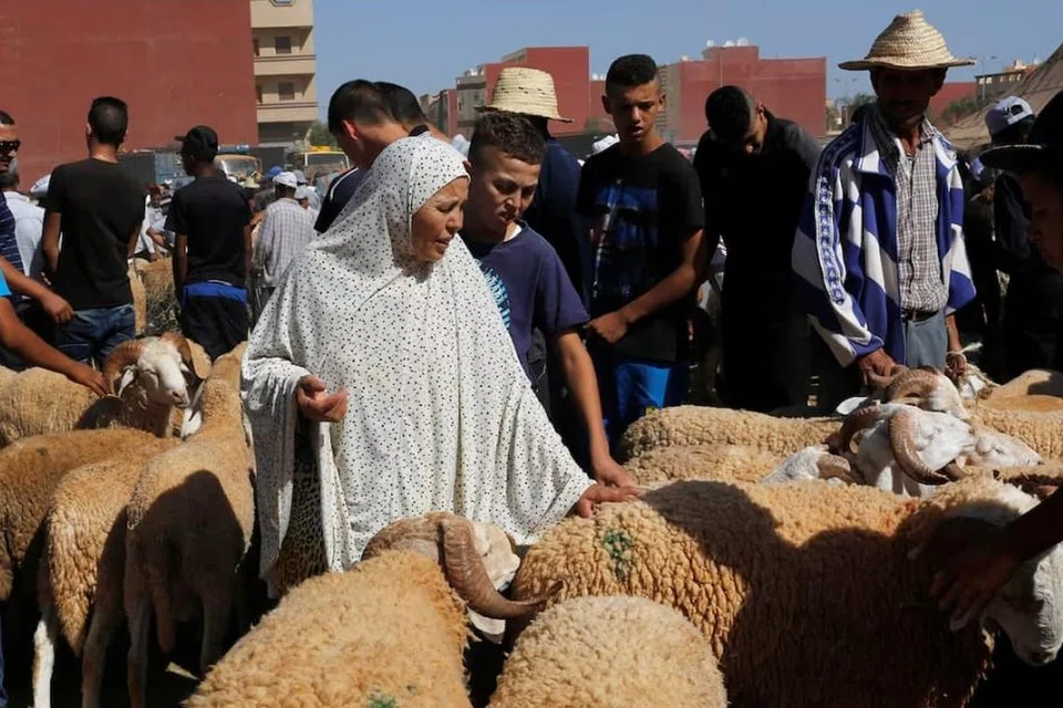 Seorang wanita membeli seekor biri-biri di pasar ternakan di bandar Oujda, Maghribi, menjelang Hari Raya Aidil Adha pada 11 September 2016.
