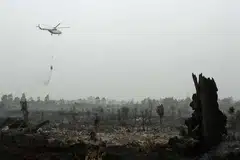 Sebuah helikopter Badan Nasional Pengurusan Bencana (BNPB) Indonesia sedang memadam api di Kamapr di Riau pada Isnin (29 Ogos). 