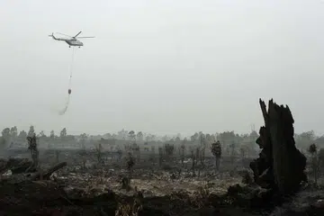 Sebuah helikopter Badan Nasional Pengurusan Bencana (BNPB) Indonesia sedang memadam api di Kamapr di Riau pada Isnin (29 Ogos). 