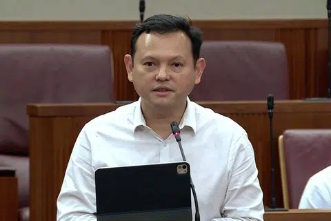 Menteri Negara Kanan (Pertahanan merangkap Kemampanan dan Sekitaran), Encik Zaqy Mohamad, menekankan strategi penyesuaian Singapura adalah diselaraskan, bercita-cita tinggi, dan disokong oleh pemikiran jangka panjang merentas generasi pemimpin.