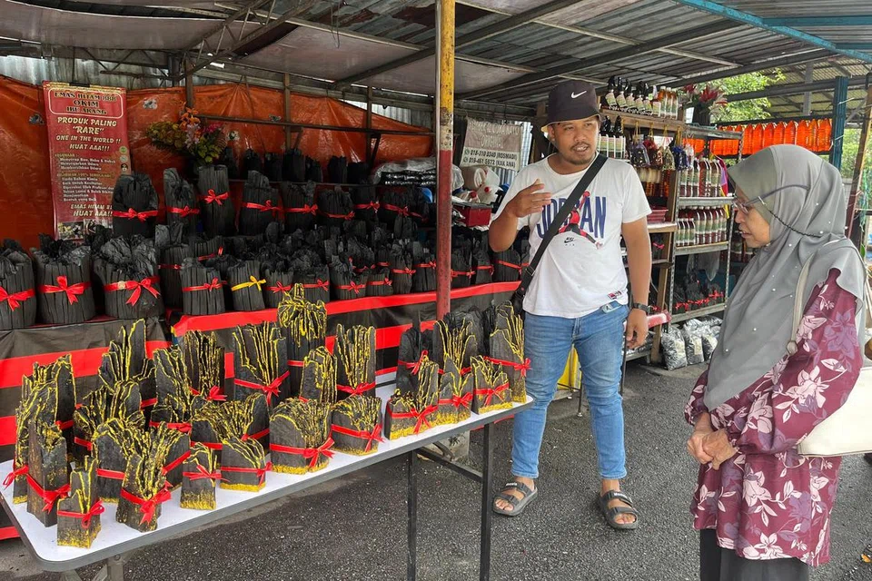 pembuatan arang kayu bakau, Kuala Sepetang, Perak 