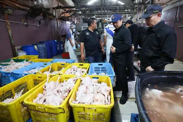 Kementerian Perdagangan Dalam Negeri dan Kos Sara Hidup (KPDN) Selangor bersama Jabatan Agama Islam Selangor (Jais) telah menyerbu sebuah rumah penyembelihan ayam di Puchong atas pelbagai kesalahan termasuk pelanggaran manual prosedur Pensijilan Halal Malaysia pada 29 Oktober.