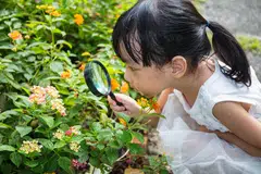 Membesarkan atau mendidik anak ‘neurodiversiti’ mungkin seperti menanam ‘bunga’ yang memerlukan lebih perhatian, namun apabila ia berbunga, hasilnya sangat indah. Kanak-kanak ini hanya memerlukan dunia yang menerima mereka seadanya dan membantu mereka supaya berjaya di dunia dan akhirat. 