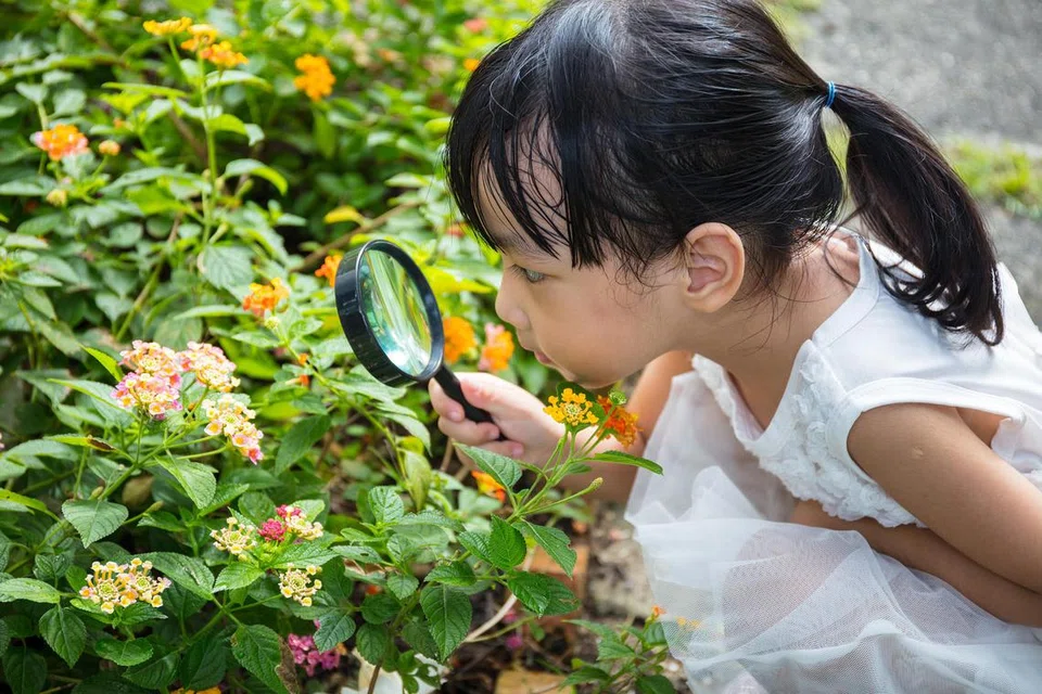 Membesarkan atau mendidik anak ‘neurodiversiti’ mungkin seperti menanam ‘bunga’ yang memerlukan lebih perhatian, namun apabila ia berbunga, hasilnya sangat indah. Kanak-kanak ini hanya memerlukan dunia yang menerima mereka seadanya dan membantu mereka supaya berjaya di dunia dan akhirat. 