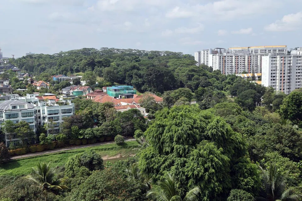 pembangunan perumahan Clementi, hutan Clementi, pemuliharaan alam sekitar