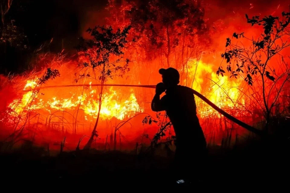 kebakaran hutan indonesia