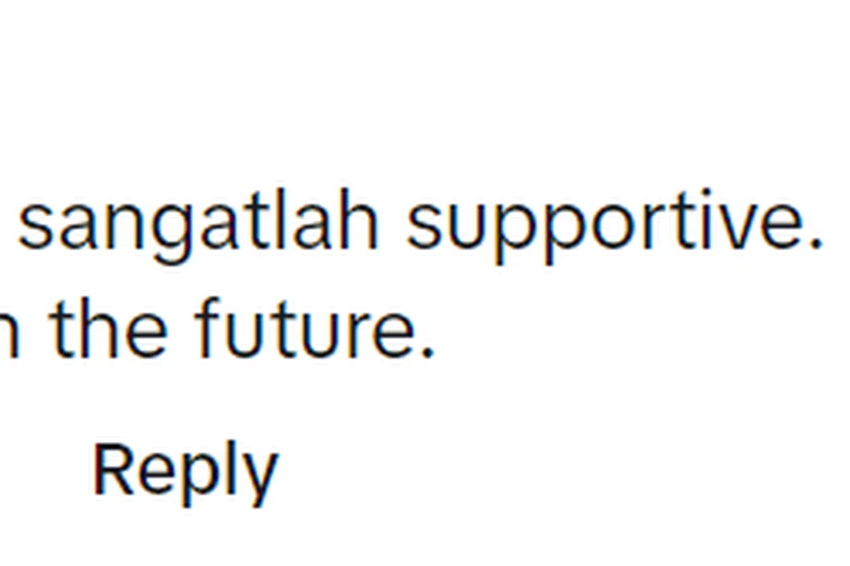 BERI PANDANGAN: Warganet memberi respons positif.