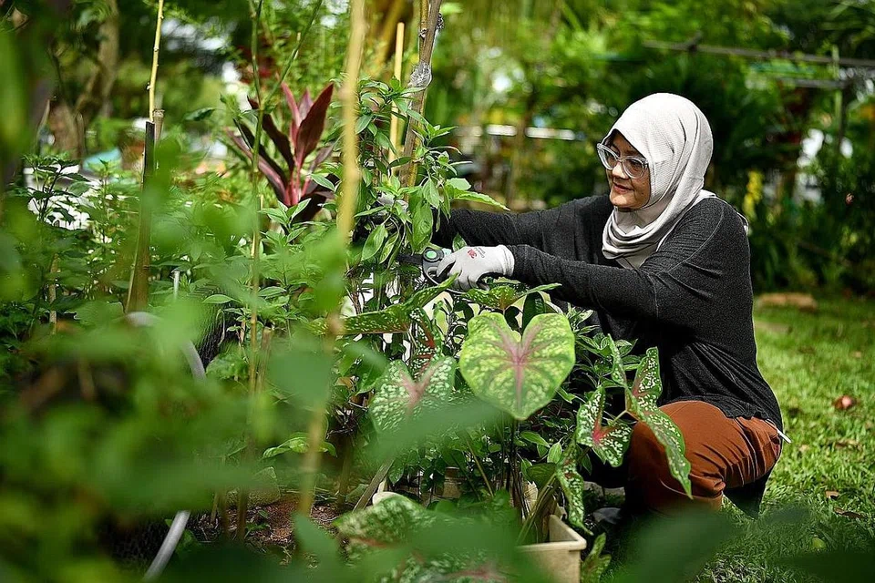 Cik Fildza Zin. - Foto BM oleh LIM YAOHUI