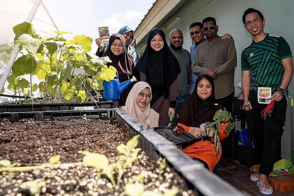 DUTA HIJAU: Antara duta yang kini mengusahakan Pergas Green Space termasuk (dari kiri, belakang) Ustazah Rooslina Mohd Nor, Ustazah Nurdiana Hanim Abdul Rahman, Ustazah Tan Nurul Hafidzah Abdul Hadi, Encik Nurshahid Selamat, Encik Mohammed Nazzer Hamzah, Ustaz K.H. Abdul Majeed Maiden, Muhammad Faizal Bin Rosmin dan (dari kiri, duduk) Ustazah Khadijah Suri dan Ustazah Nur Khadijah Ramli. - Foto-foto BH/BM 