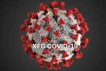 Covid-19, XFG