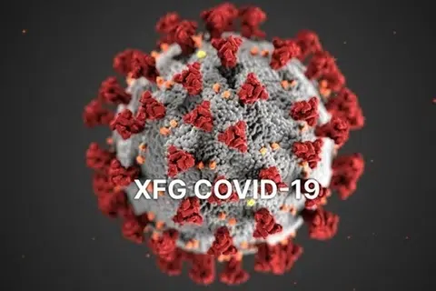 Covid-19, XFG