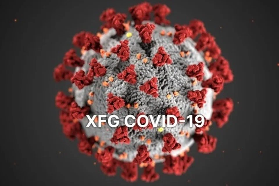 Covid-19, XFG