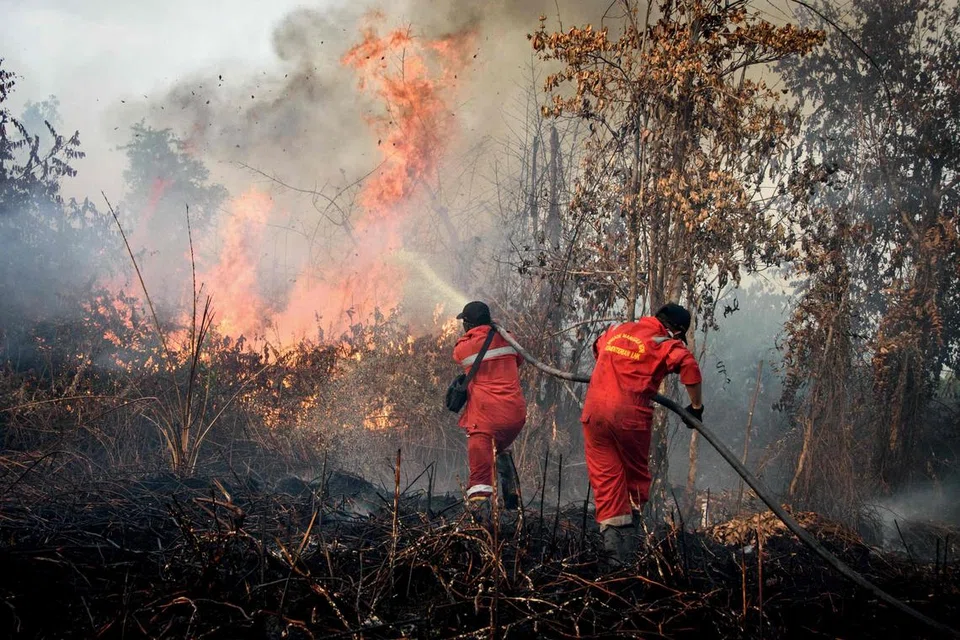Anggota bomba berusaha memadamkan kebakaran hutan yang sedang marak di kawasan tanah gambut di Rimba Panjang, wilayah Riau, pada 20 Julai 2025.