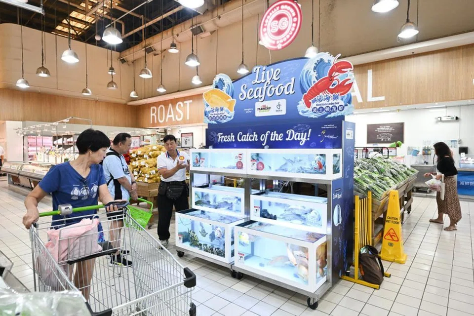 Makanan laut hidup seperti ikan tilapia, siakap, kerapu, dan udang ‘vannamei’ (udang putih), dijual mulai 19 Ogos di Giant Tampines Hypermarket, serta cawangan Giant di IMM dan Tengah Plantation Plaza.