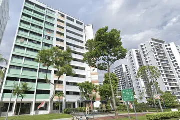 Koh Ah Hwee, Nguyen Phuong Tra