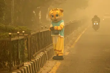 Seorang lelaki berpakaian kostum harimau membuat persembahan jalanan di persimpangan lampu isyarat ketika jerebu tebal akibat kebakaran hutan dan tanah menyelubungi Palangkaraya, Kalimantan Tengah, Indonesia, pada 25 Oktober. Krisis jerebu yang berlarutan sejak beberapa bulan lalu menyebabkan lebih 300,000 penduduk di tujuh wilayah Indonesia mengalami jangkitan saluran pernafasan antara Ogos dengan Oktober.