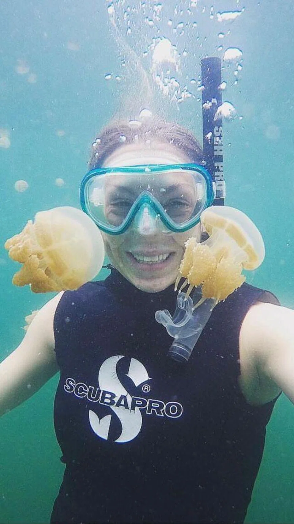 Cik Ashley Benson melihat ubur-ubur laut ‘spotted jelly’ di pulau Kakaban di Kalimantan, Indoneisa.  