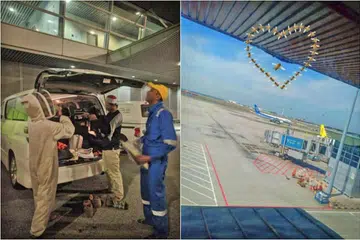 PINDAH SERANGGA: Malaysia Airports Holdings Berhad (MAHB) bersama pasukan kawalan serangga menjalankan operasi menghalau lebah di Lapagan Terbang Antarabangsa Kuala Lumpur (KLIA). - Foto TWITTER