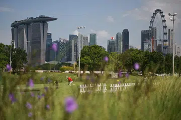 padang golf