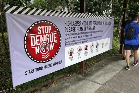 kes denggi, mingguan, Singapura, penularan denggi, Agensi Sekitaran Kebangsaan, dengue