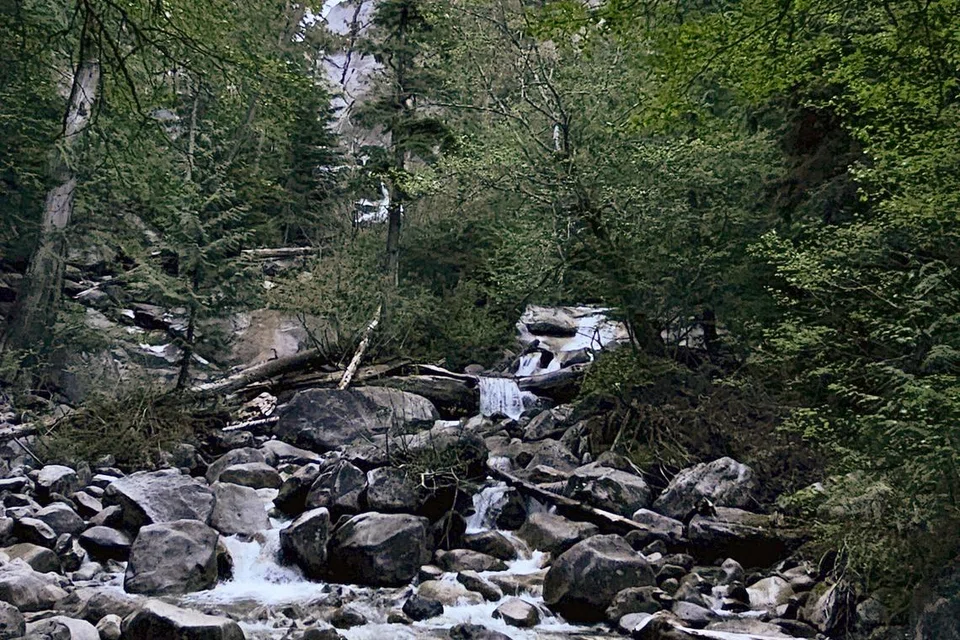 Keindahan semula jadi di Shannon Falls, Squamish, dengan air terjun yang mengalir deras di tengah hutan yang menghijau