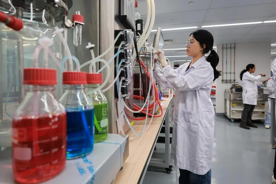 Seorang siswa Kejuruteraan Biofarmaseutikal menjalani latihan mengusahakan pembiakan sel atau kultur sel di Makmal Biopemprosesan SIT. Latihan ini menggunakan protein terapeutik sebenar seperti antibodi monoklonal yang lazim digunakan dalam rawatan barah buah dada, sebagai sebahagian usaha SIT membangun saluran bakat biopembuatan Singapura.