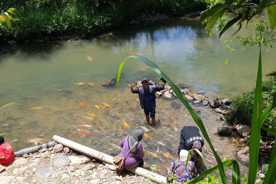 Satu lagi tarikan di Sabah adalah sesi spa ikan yang boleh dinikmati bersama rakan-rakan.