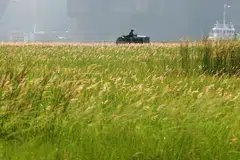 Pemandangan sebuah kawasan terbuka yang dipenuhi lalang di Tuas (gambar hiasan).