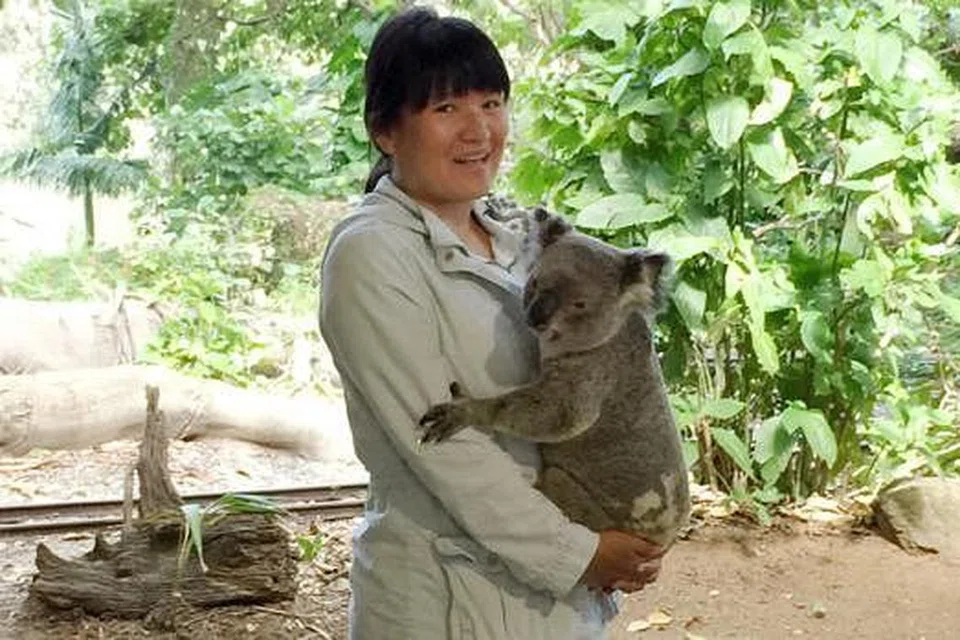 BANYAK TARIKAN: Cik Stella Pok akan memberikan butiran tentang kenapa perlu melancong ke Gold Coast, bukan sahaja pengunjung boleh memeluk Koala tetapi banyak lagi tarikan yang lain. - Foto ihsan STELLA POK