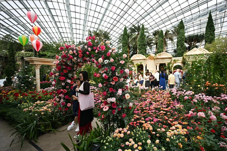 Para pengunjung menikmati pemandangan pelbagai mawar yang indah dan menakjubkan di pameran Rose Romance di Flower Dome, Gardens by the Bay pada 2 Jun.