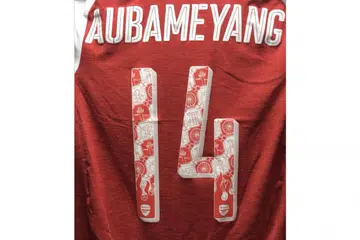 KARYA TEMPATAN: Jersi yang dipakai pasukan Arsenal dalam perlawanan pramusim direka oleh pereka grafi Singapura, Mark Ong. - Foto REUTERS 