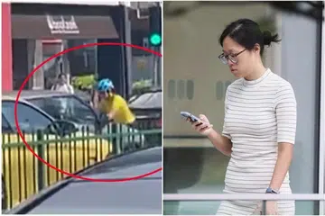 PERBUATAN TERBURU-BURU: Nicolette Tan Shi-en (gambar kanan) kelihatan berpaut atas kereta Elaine Michele Ow semasa pertengkaran mereka (gambar kiri).