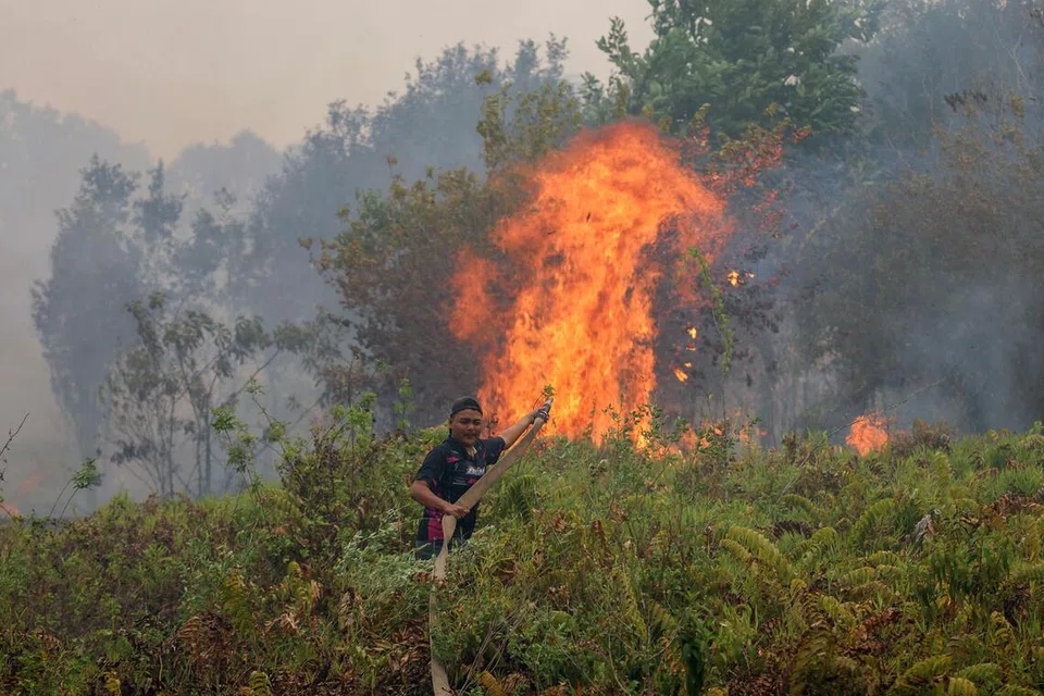 Seorang anggota bomba memadamkan kebakaran di kampung Sungai Tabuk di Kabupaten Banjar, Kalimantan Selatan, pada 16 Oktober. Asap akibat kebakaran hutan dan tanah dari daerah itu dikesan berada di ruang udara ibu kota Jakarta.