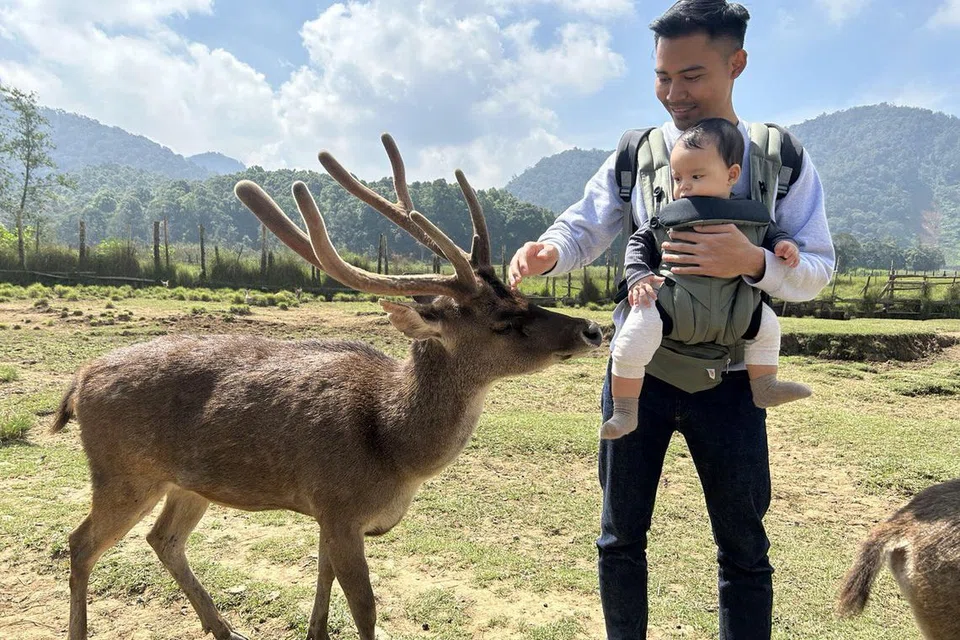 PENGALAMAN BARU: Anak penulis yang ketika itu berusia sembilan bulan didedahkan kepada persekitaran dan pengalaman baru memberi makan dan bermesra dengan rusa yang dibiarkan bebas berkeliaran di sebuah taman pemuliharaan rusa di Bandung, Indonesia.