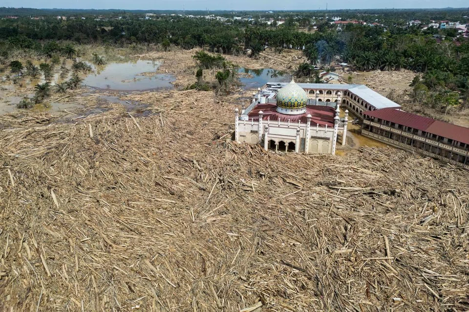 Pemandangan menunjukkan sisa-sisa pokok yang tumbang dan hanyut di kawasan Pondok Pesantren dan Masjid Darul Mukhlisin selepas banjir kilat melanda kawasan, Aceh Tamiang di Sumatera Utara, Infdonesia, pada 10 Disember.  