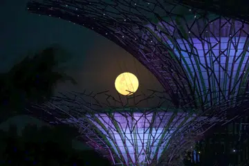 Bulan yang sama di seluruh dunia, namun, ia tetap membawa tafsiran berbeza bagi setiap di antara kita. 