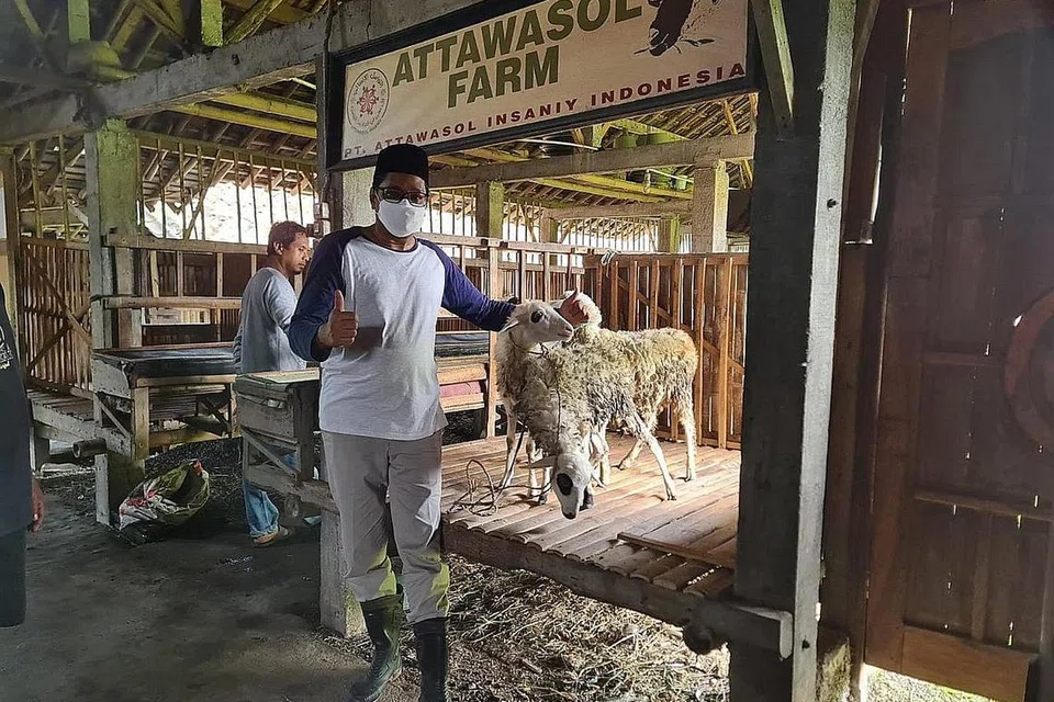 PERSIAPAN SUDAH DIMULA: Attawasol Insaniy mempunyai ladang ternakannya sendiri di Jawa Tengah (atas), dan diurus pekerja di sana. - Foto ATTAWASOL INSANIY
