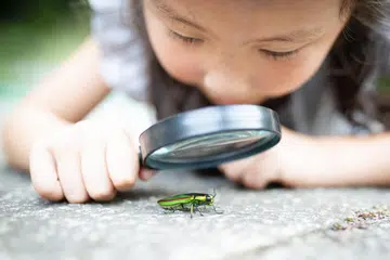 PENGALAMAN BARU: Cukup sekadar membawa si kecil ke taman berdekatan dengan rumah, ia memperkenalkan mereka kepada pemandangan, bunyi dan bau yang tidak pernah mereka alami.