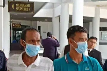 curi lembu