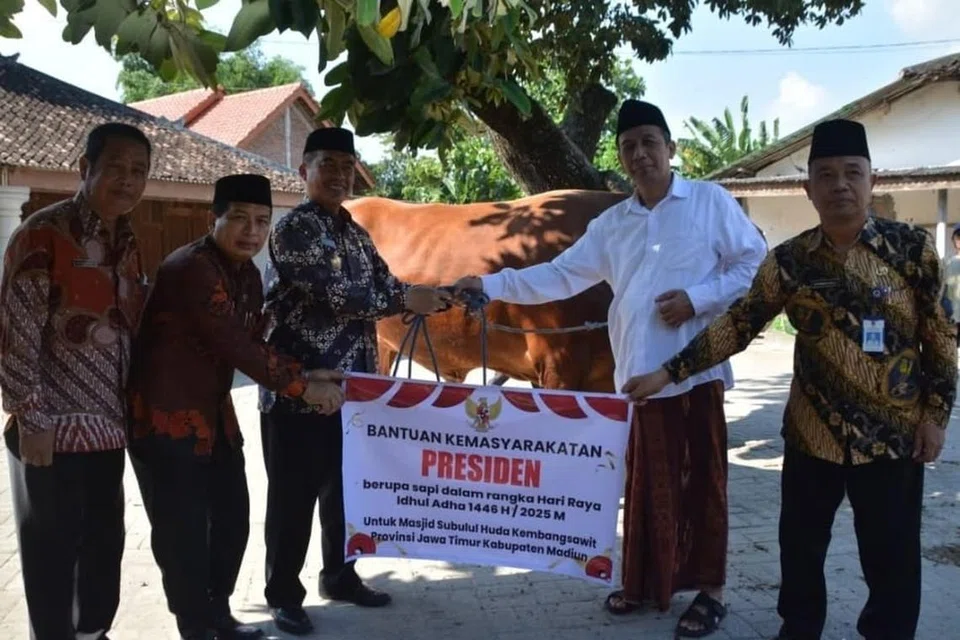 lembu korban, prabowo