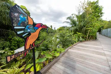 Mandai Boardwalk mempunyai pintu masuk bertema seperti pintu masuk Kingfisher, yang diilhamkan oleh burung pekaka paruh gading, spesies yang mungkin dapat dilihat di sepanjang laluan itu.