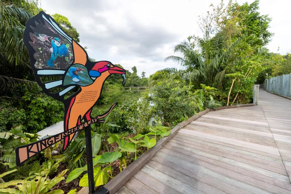 Mandai Boardwalk mempunyai pintu masuk bertema seperti pintu masuk Kingfisher, yang diilhamkan oleh burung pekaka paruh gading, spesies yang mungkin dapat dilihat di sepanjang laluan itu.