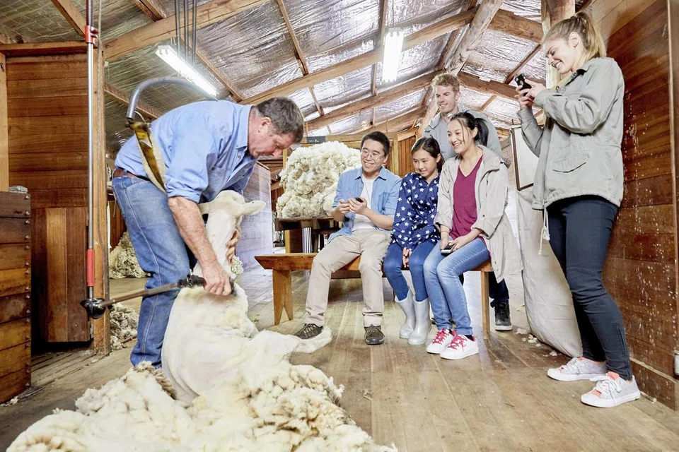 Curringa Farm, Tasmania, kaki jalan