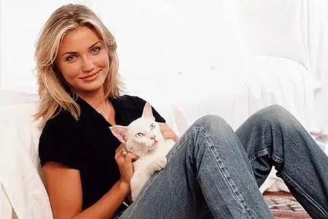 Pelakon Cameron Diaz suka menghiasi kucingnya dengan pakaian kucing mewah. 