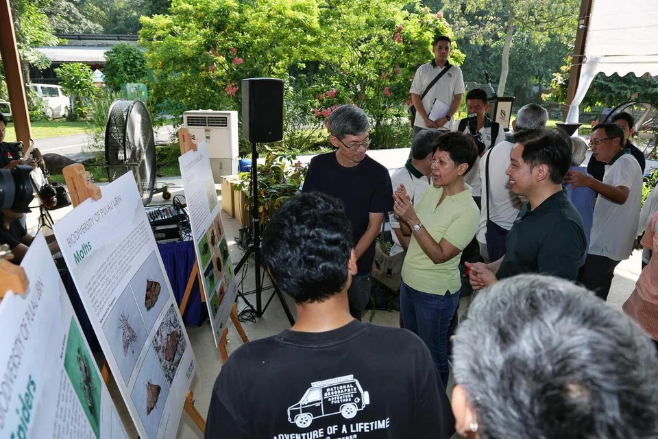 Singapore, Pulau Ubin, Alvin Tan, Indranee Rajah, scarab, beetle, kumbang