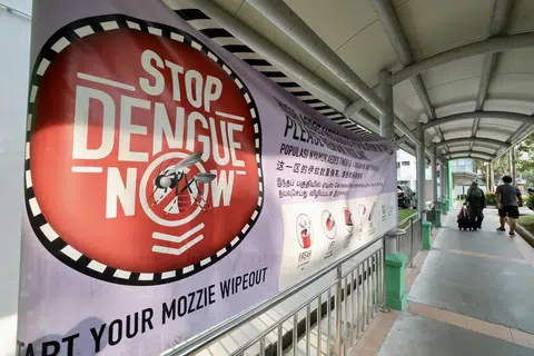 Jumlah kes denggi pada 2024 setakat ini ialah 12,736, berbanding 9,949 pada keseluruhan 2023, dengan enam kematian.