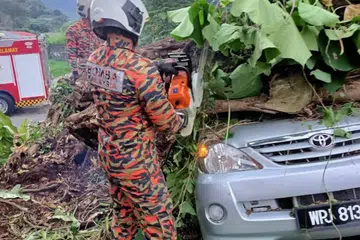 TRAGEDI MALANG: Anggota bomba daripada Balai Bomba dan Penyelamat Ampang memotong pokok tumbang yang menyebabkan dua lelaki maut di Jalan Bukit Belacan, Kampung Lembah Jaya Utara, Ampang, pada 19 Disember.